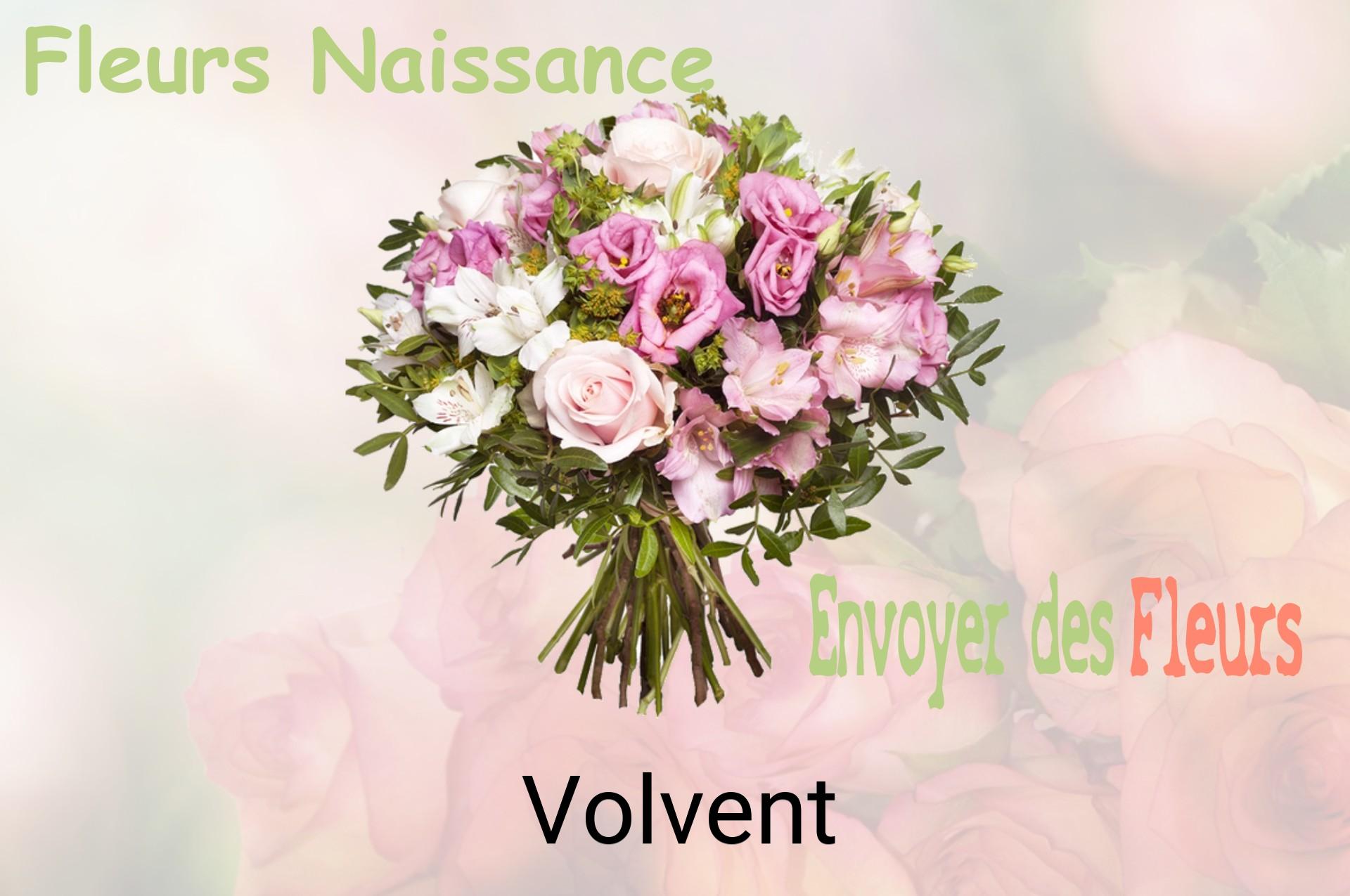 Bouquet de fleurs de naissance livré à Volvent