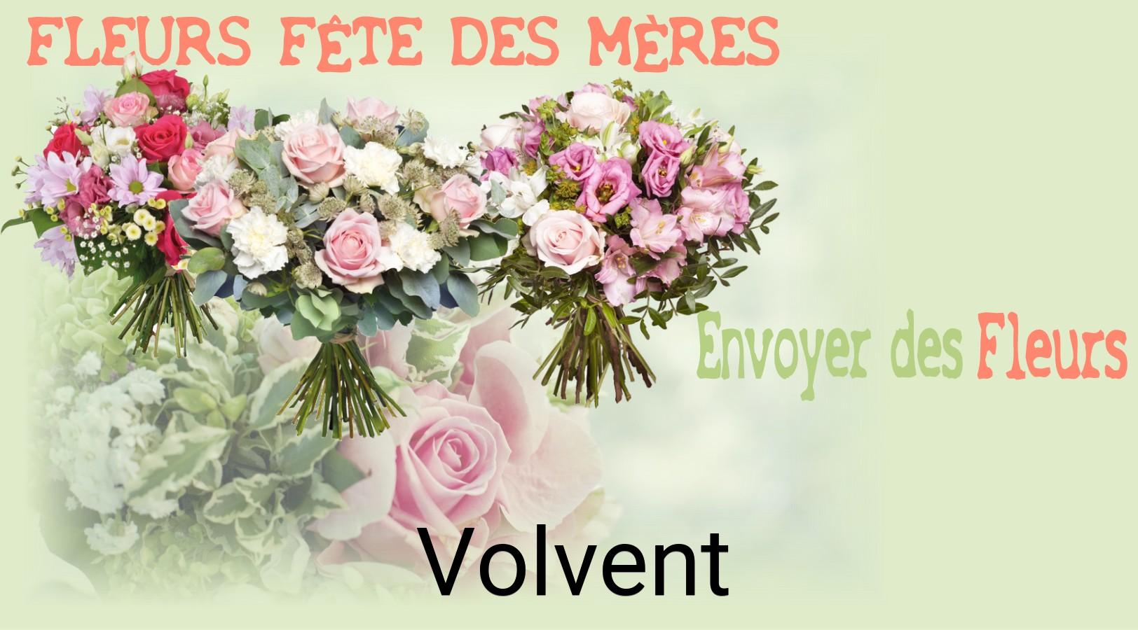 Bouquet de Fête des Mères livré à Volvent